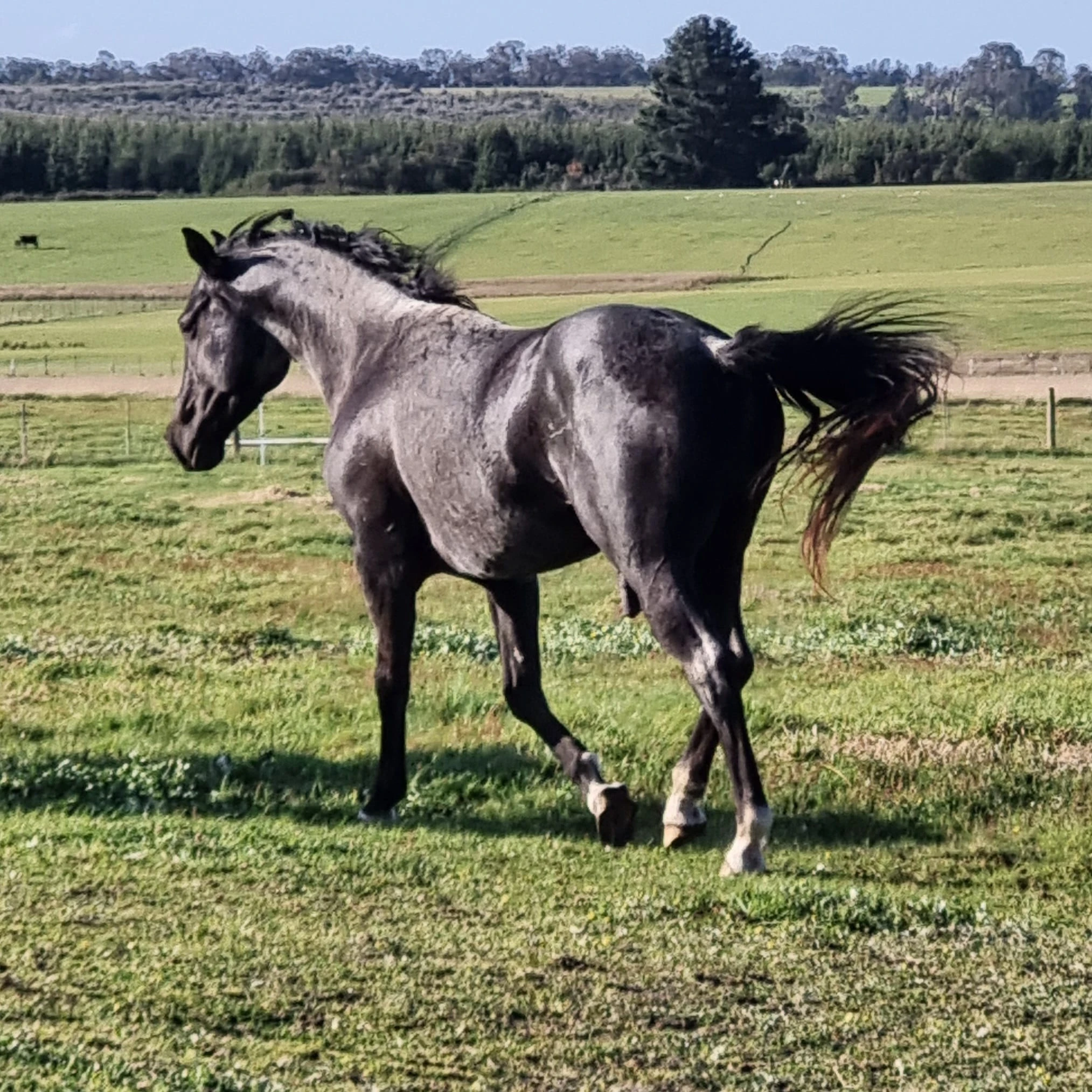 Heidi Rules Texas Holdem 2