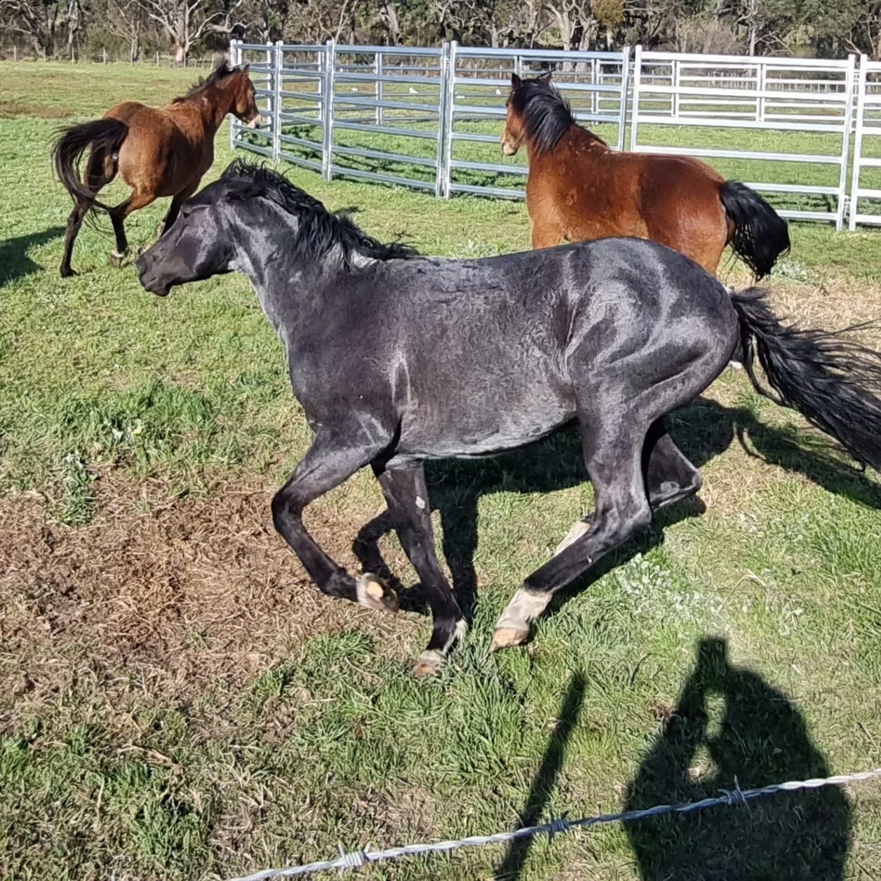 Heidi Rules Texas Holdem 3