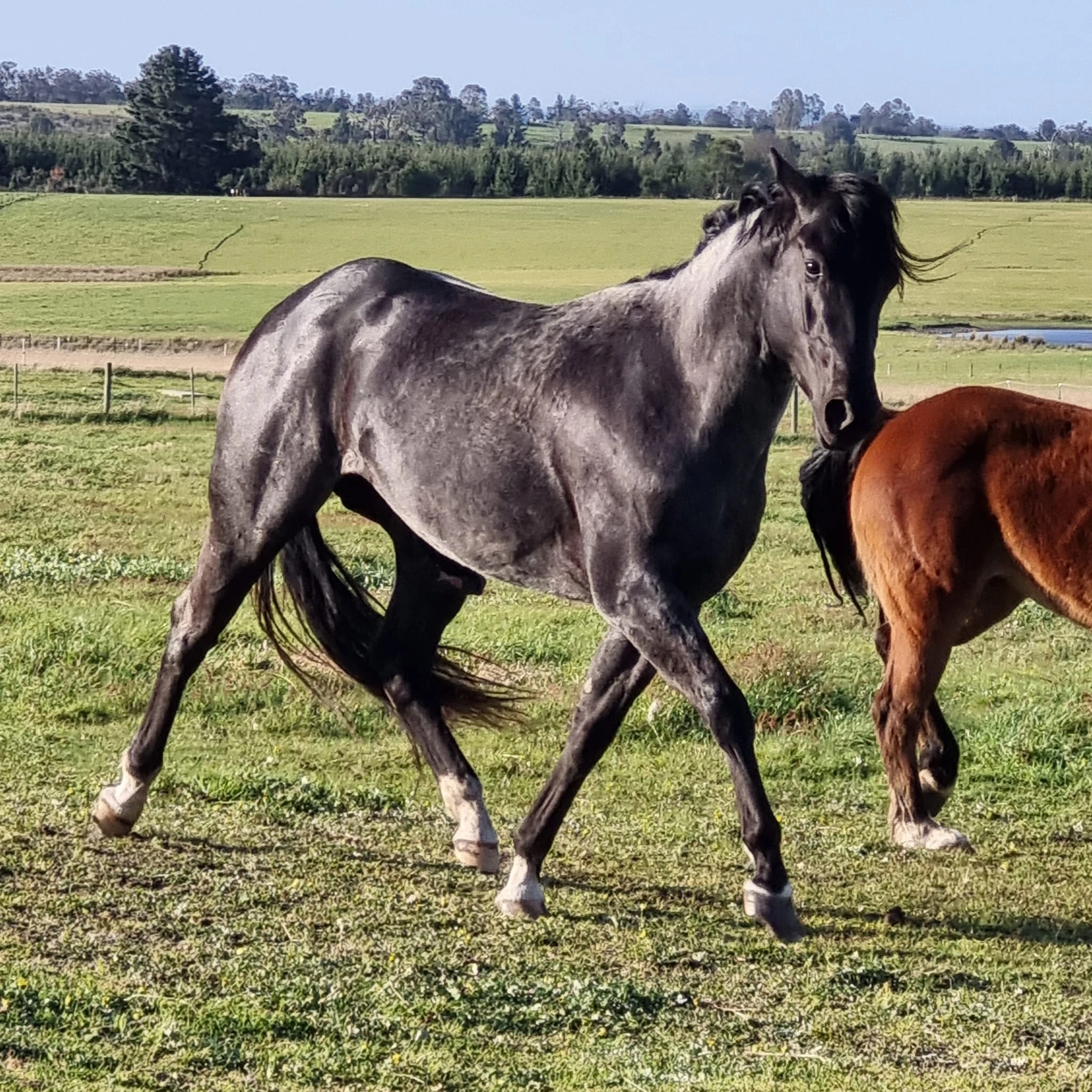 Heidi Rules Texas Holdem 4