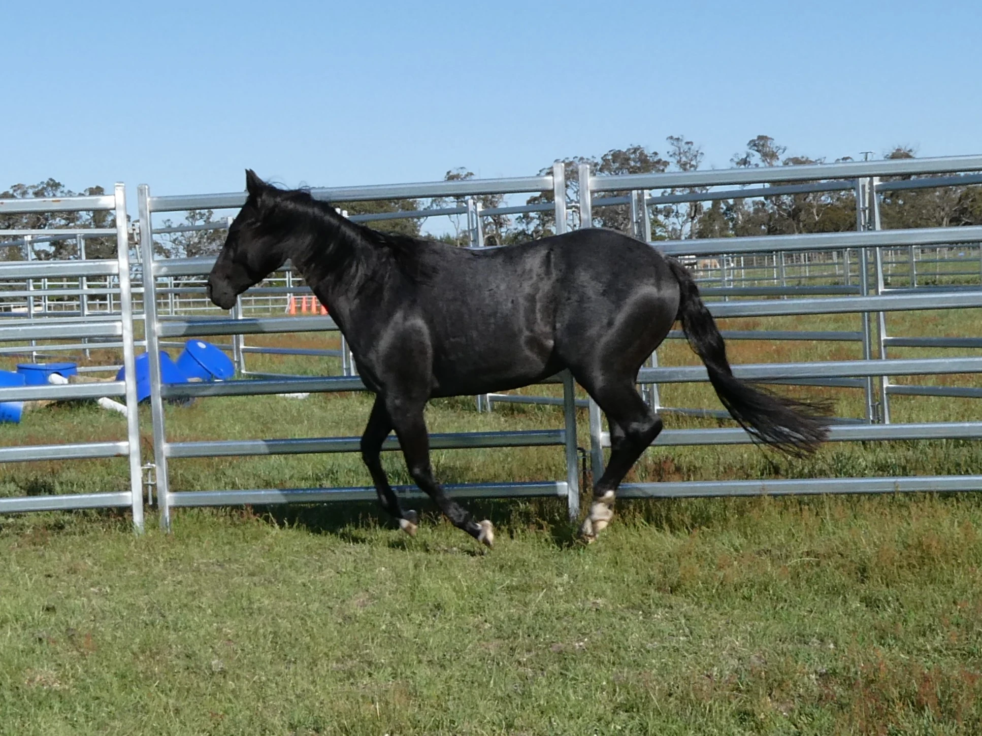 Heidi Rules Texas Holdem 6