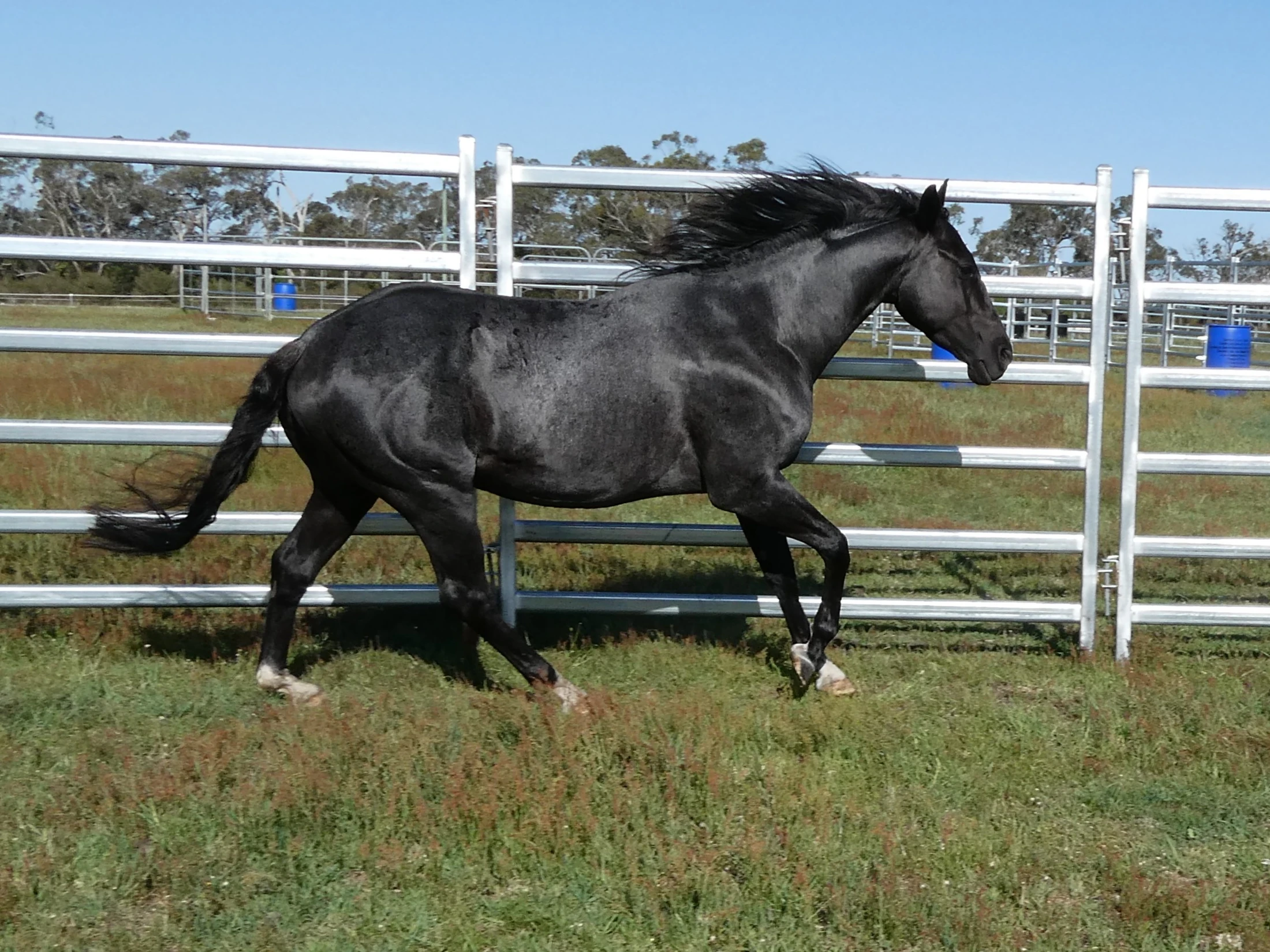 Heidi Rules Texas Holdem 10