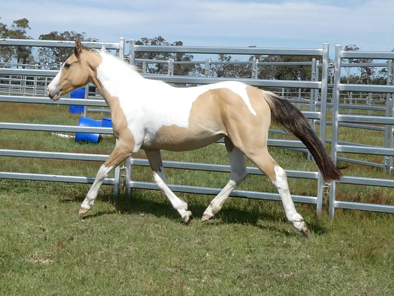 SL Aztec Power Above 2